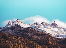 郑钦文将缺席十五运会网球比赛